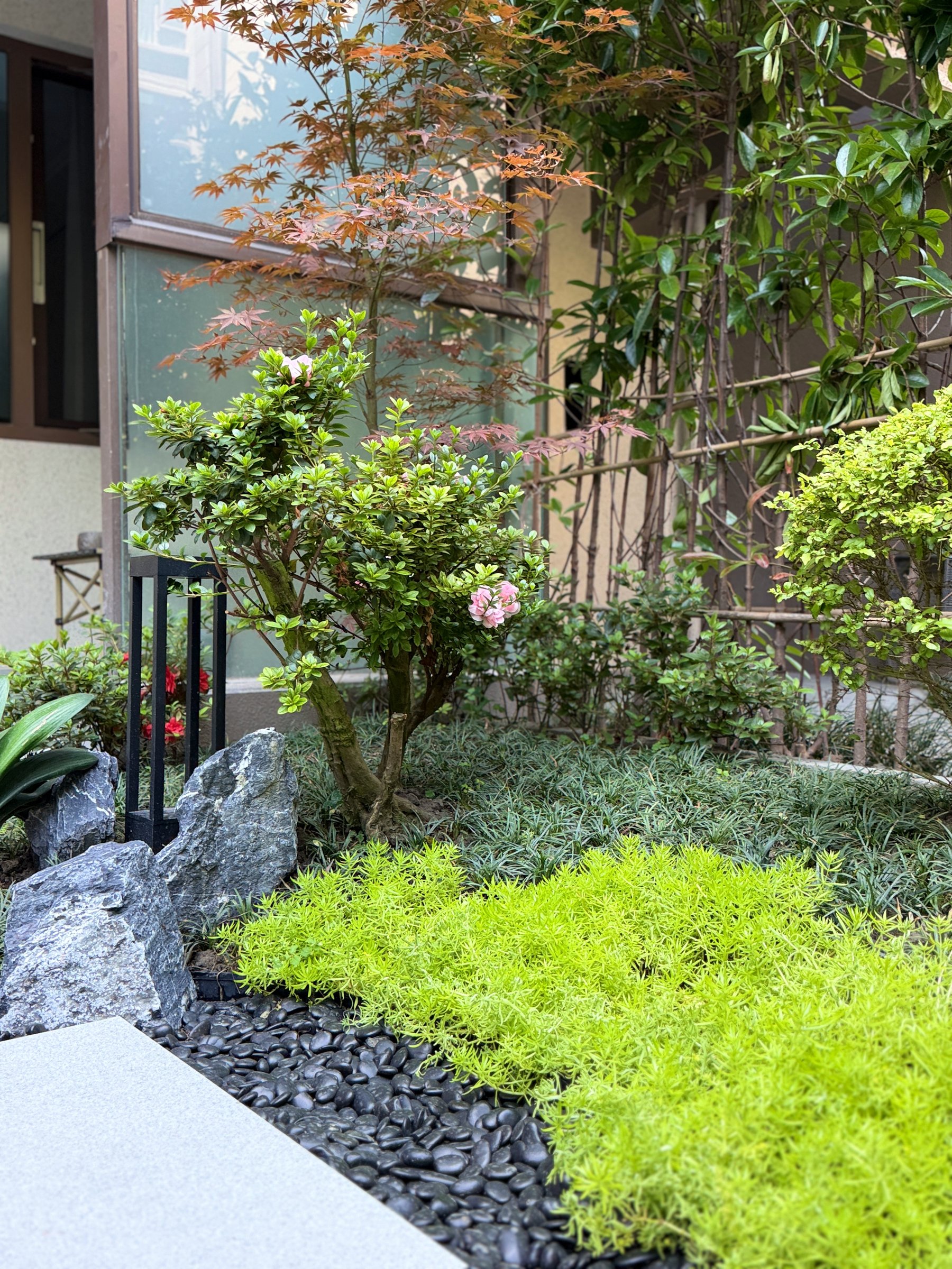 展区视角8